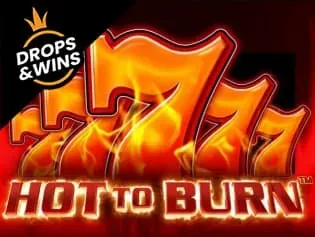 Hot to Burn screenshot